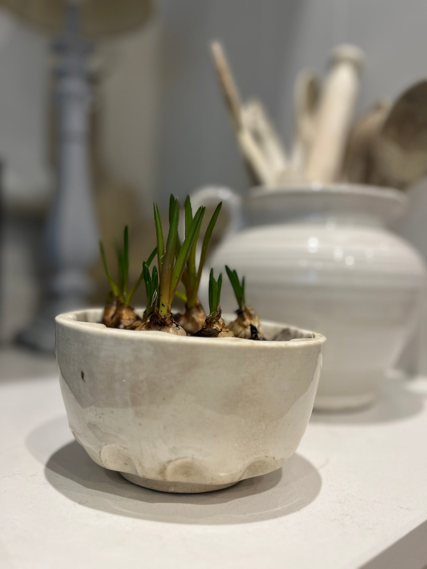 Victorian Jelly/mousse mould