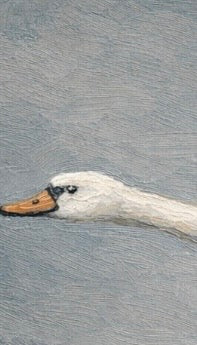 Flying Swan Triptych Trio of Wall Canvases