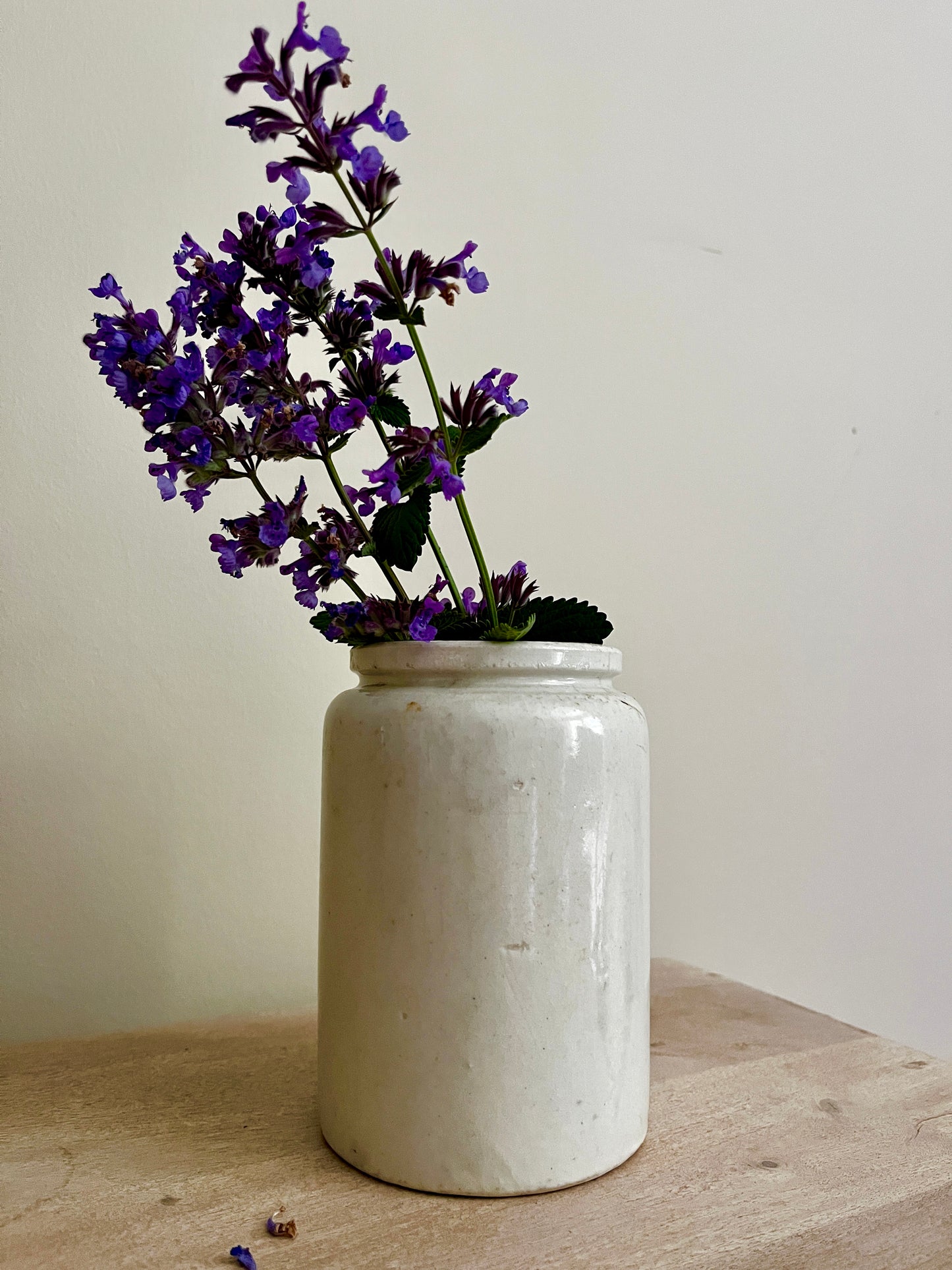 Antique Gray & Sons Stoneware Pot – Portobello, c. Late 19th Century