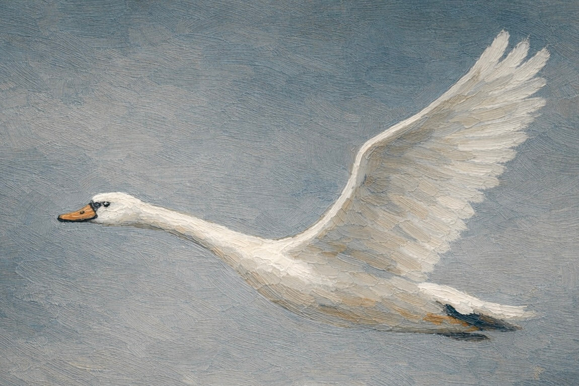 Flying Swan Triptych Trio of Wall Canvases