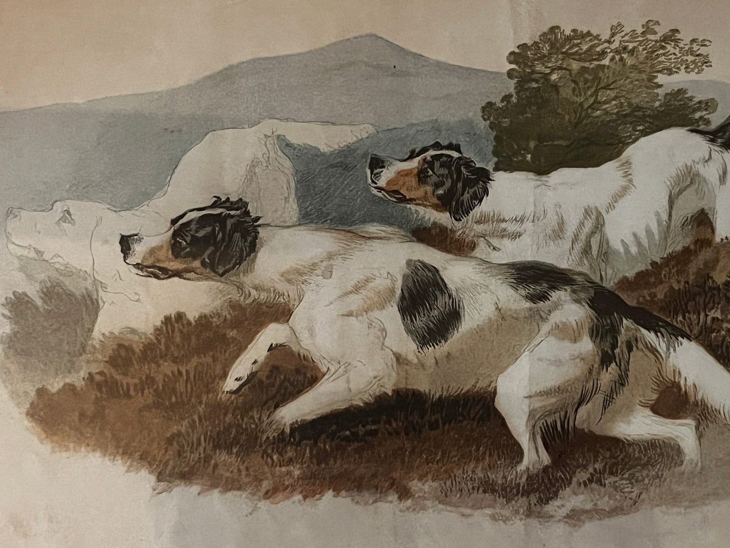 Antique Rare Victorian Landseer Print – The Setters, 1874
