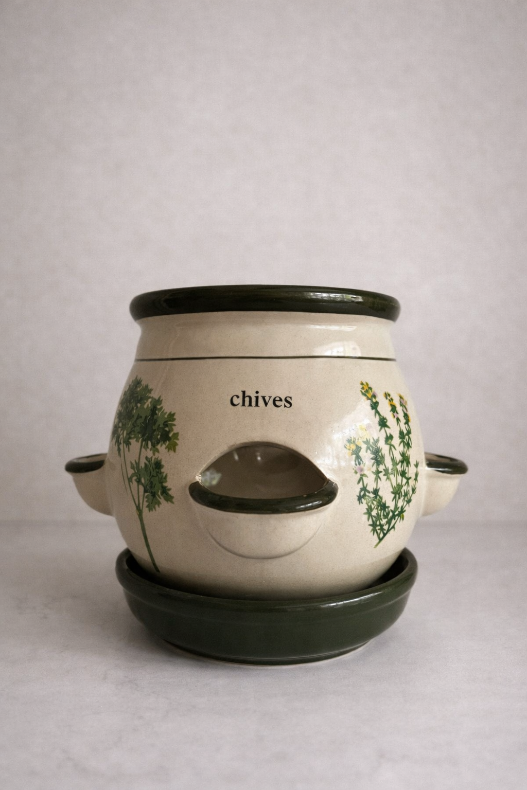 Vintage Herb Planter