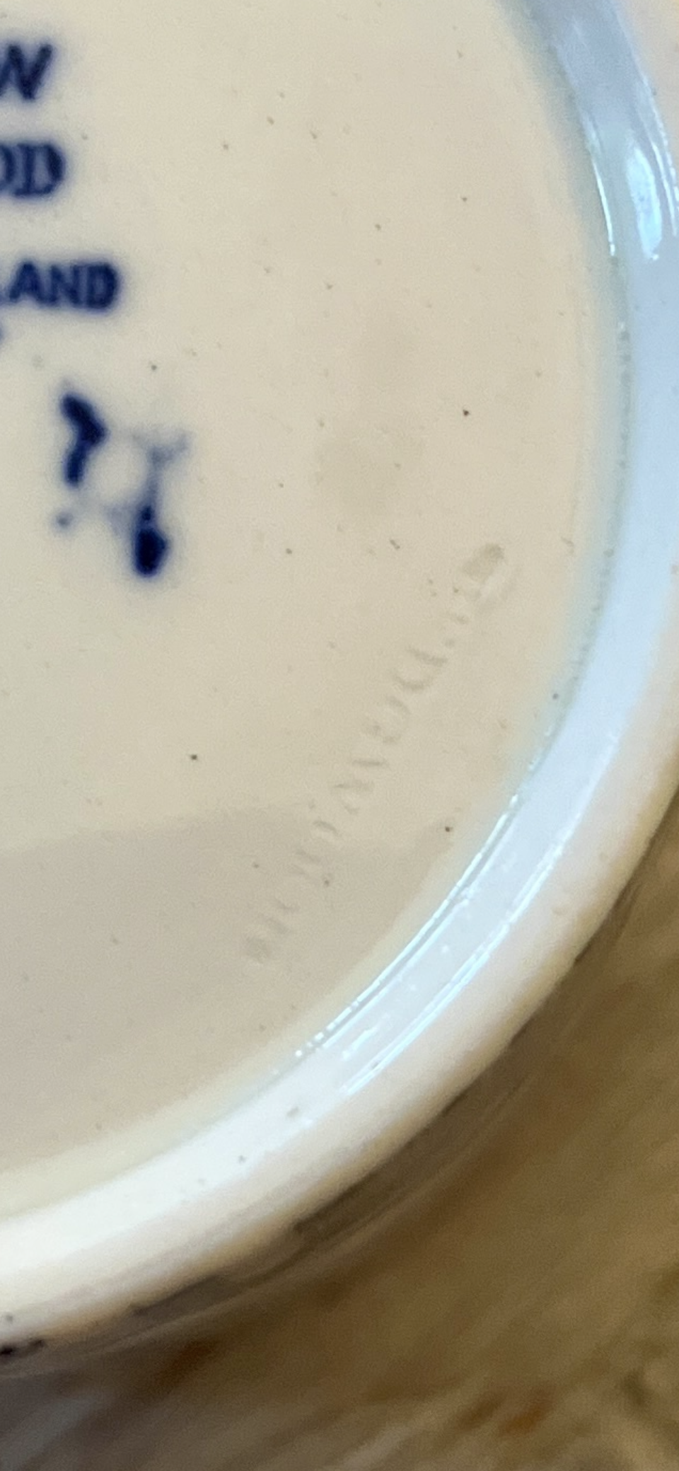 Antique Wedgwood Willow Condiment Pot