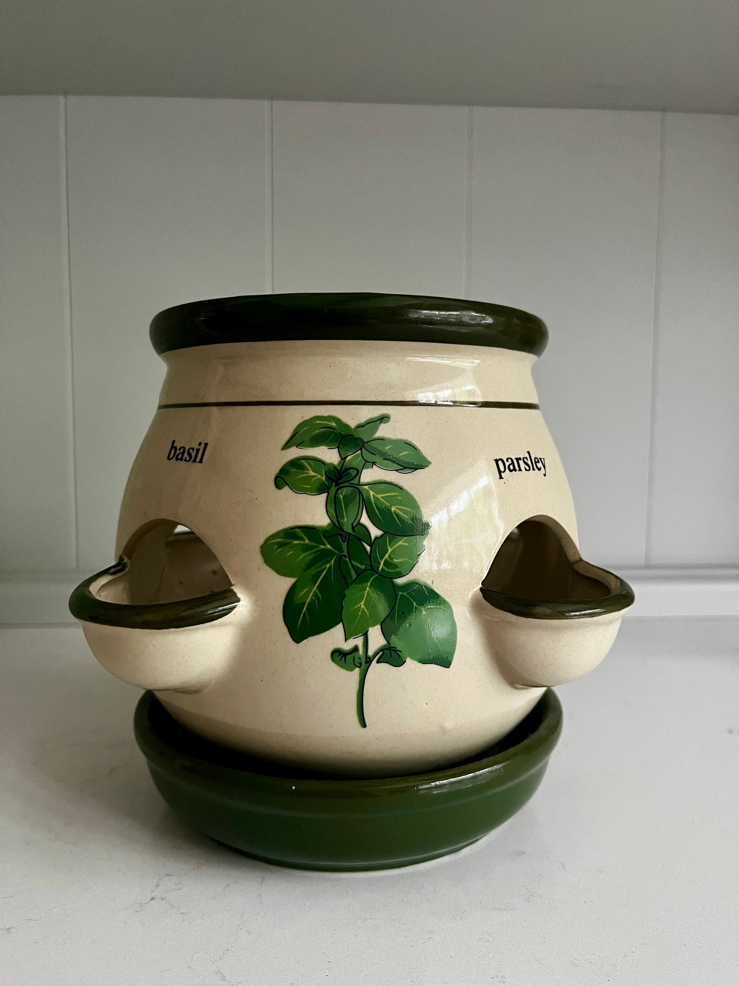 Vintage Herb Planter