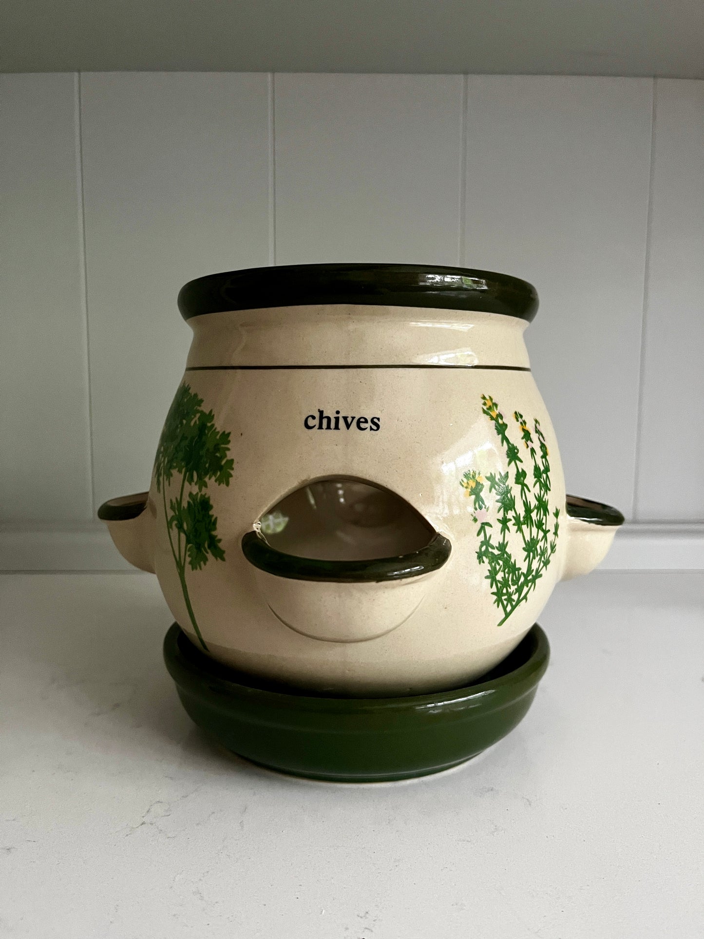 Vintage Herb Planter