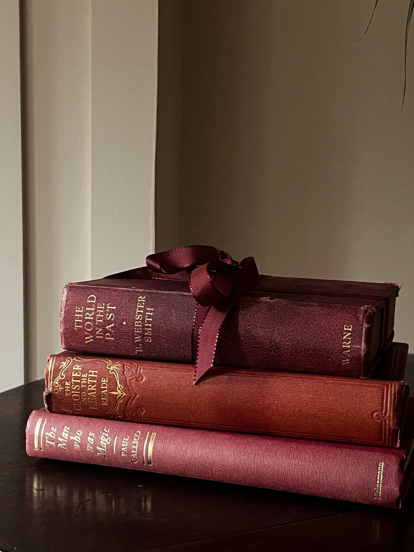 Set of 3 Vintage Worn Books in Berry Colours