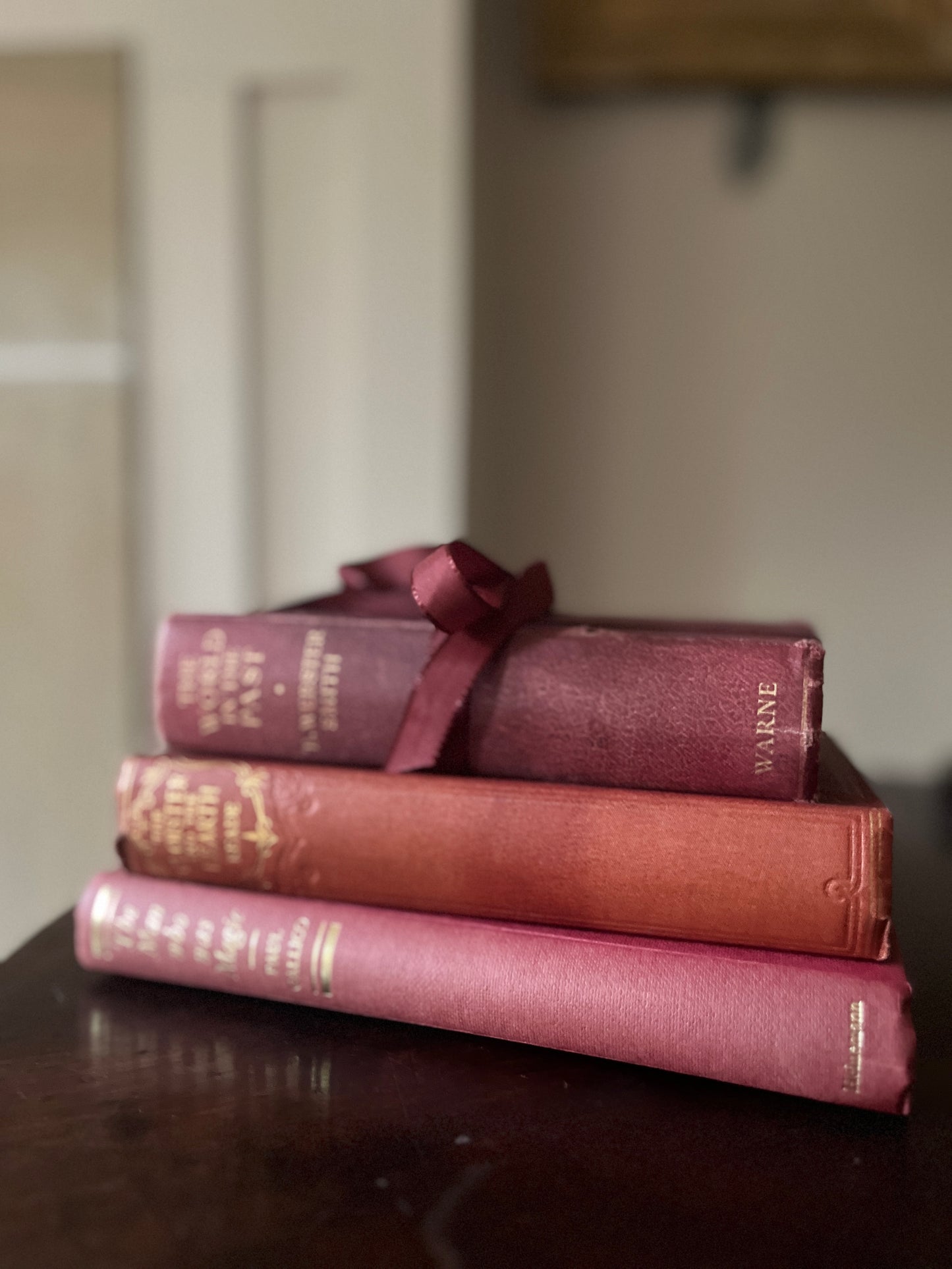 Set of 3 Vintage Worn Books in Berry Colours