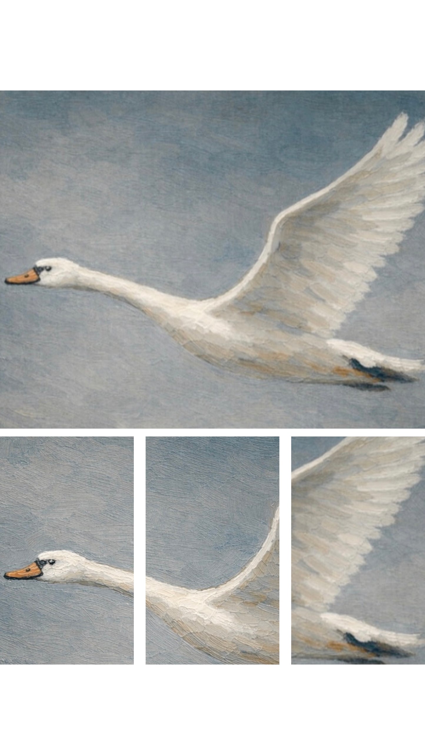 Flying Swan Triptych Trio of Wall Canvases