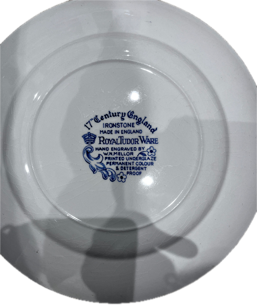 Vintage Blue & White Ironstone Plates – Royal Tudor Ware “17th Century England”