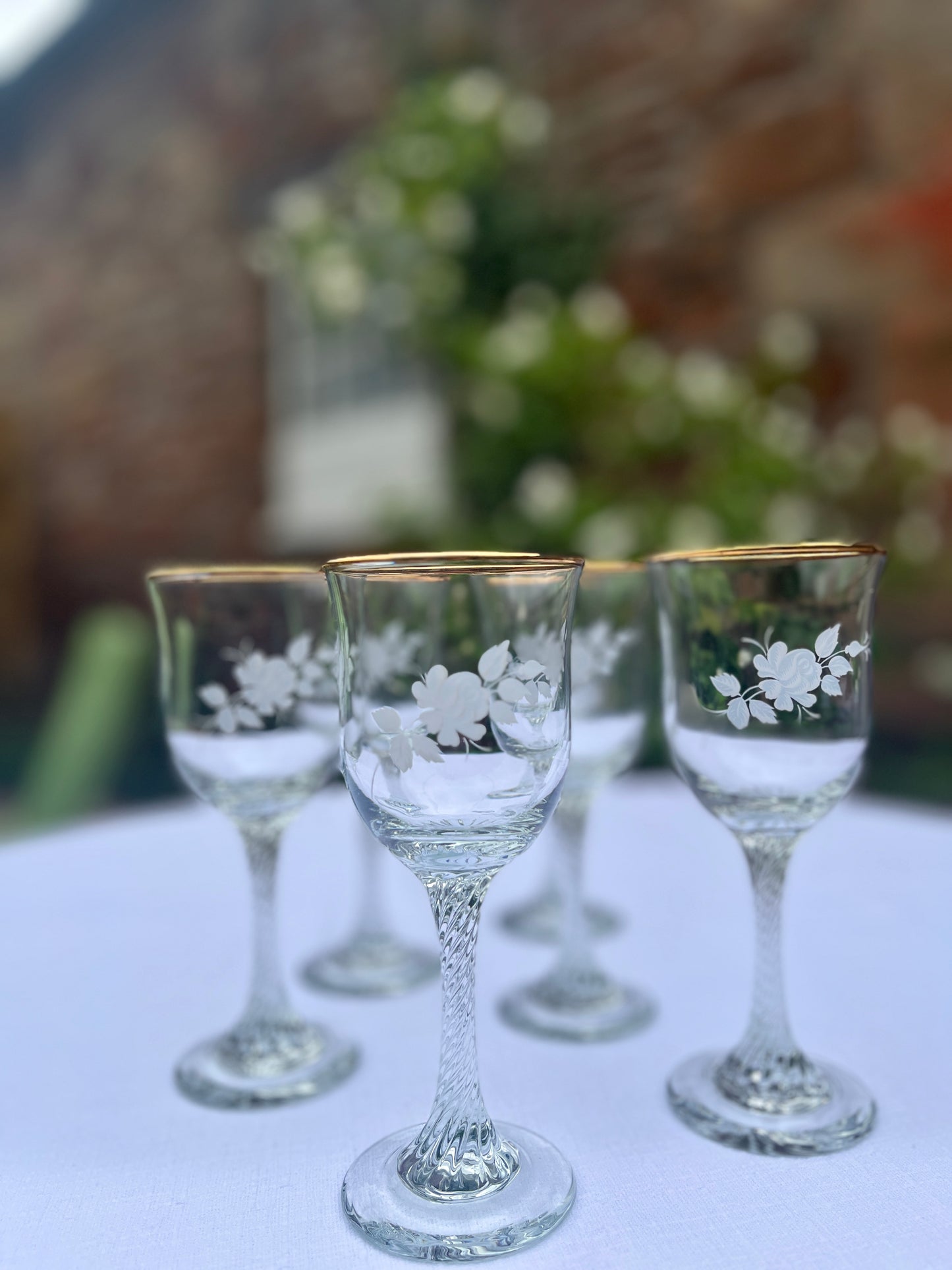 Set of 6 Vintage Etched Wine Glasses with Gold Rims – Fluted Stemware (17cm)